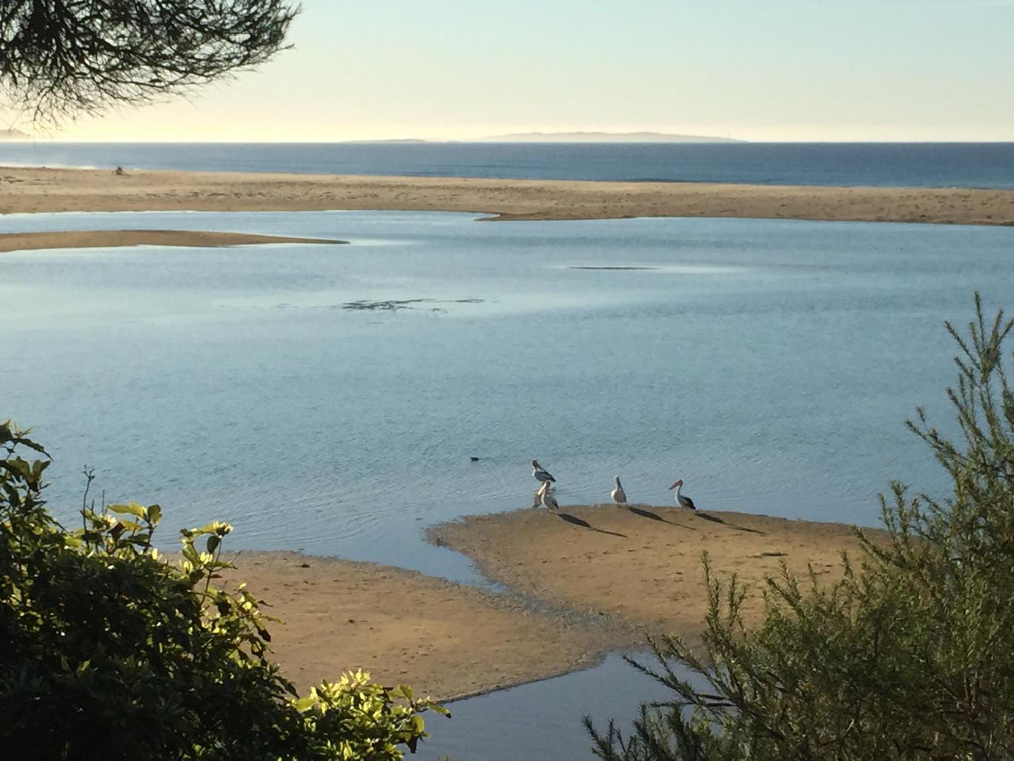 Beachcomber Caravan Park Mallacoota Eksteriør billede